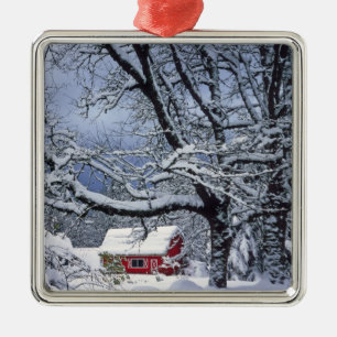 VS, Oregon, Clackamas County. Verse sneeuw bedekt Metalen Ornament