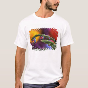 VS, Oregon, Close-up abstract van paars T-shirt