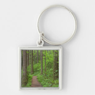 VS, Oregon, Columbia River Gorge. Elowah Falls Sleutelhanger