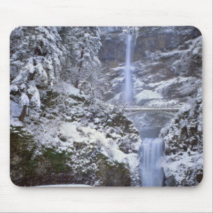 VS, Oregon, Columbia River Gorge Muismat