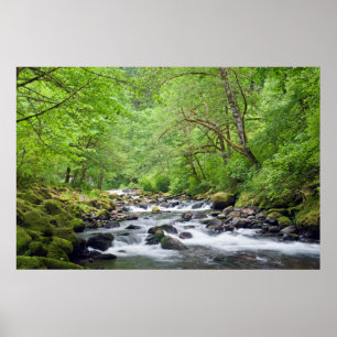 VS, Oregon, Columbia River Gorge, Tanner Creek 4 Poster
