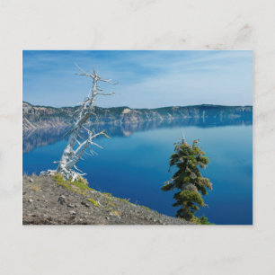 VS, Oregon, Crater Lake National Park 4 Briefkaart