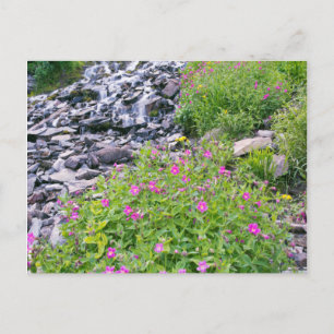 VS, Oregon, Crater Lake National Park Briefkaart