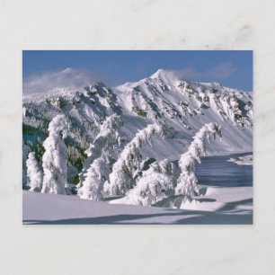 VS, Oregon, Crater Lake NP. Bomen buigen onder de Briefkaart