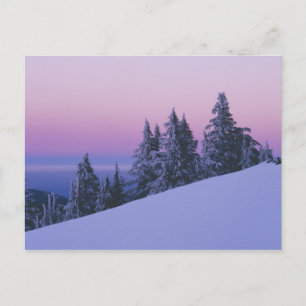 VS, Oregon, Deschutes National Forest, Schemering Briefkaart
