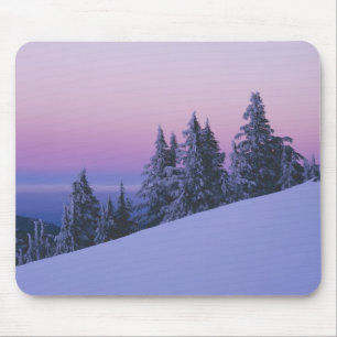 VS, Oregon, Deschutes National Forest, Schemering Muismat