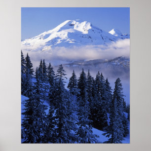 VS, Oregon, Deschutes National Forest, South Poster