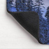 VS, Oregon, Deschutes National Forest, Zuid Muismat (Hoek)