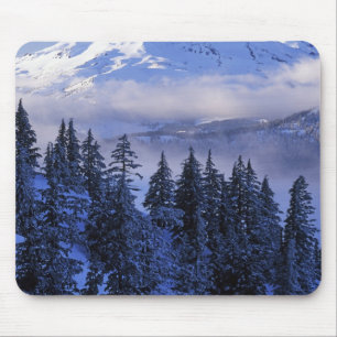 VS, Oregon, Deschutes National Forest, Zuid Muismat