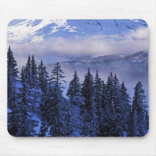 VS, Oregon, Deschutes National Forest, Zuid Muismat (Voorkant)