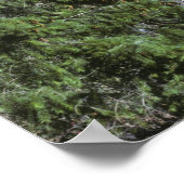 VS, Oregon. Een ophaling die de Poster (Hoek)