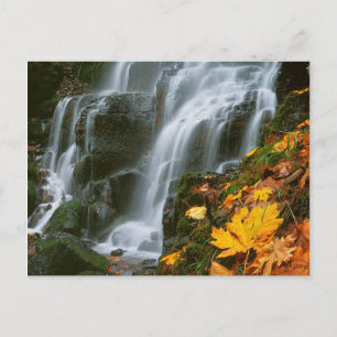 VS, Oregon, Fairy Falls, Columbia River Gorge Briefkaart