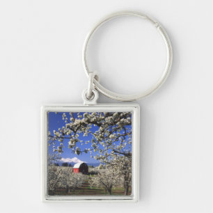 VS, Oregon, Hood River Valley, Perenboomgaard Sleutelhanger