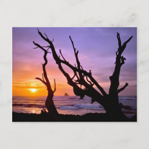 VS, Oregon, Kaap Meares. Zonsondergang Briefkaart