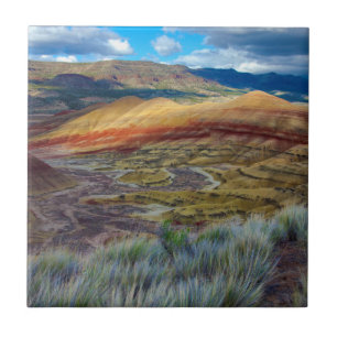 VS, Oregon. Landschap van de geschilderde heuvels Tegeltje