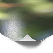 VS, Oregon. Mannelijke Westerne blauwvogel Foto Afdruk (Hoek)