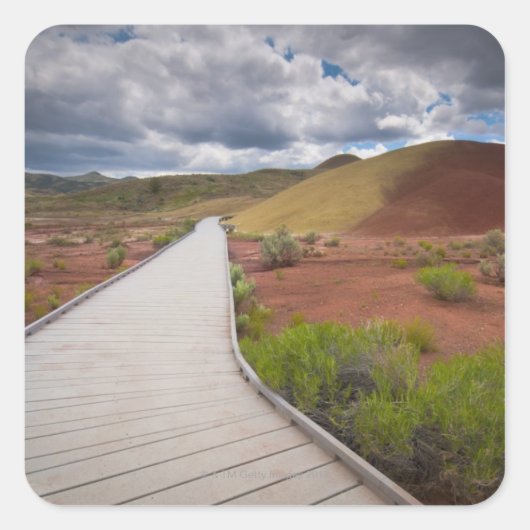 VS, Oregon, Mitchell, Pathway between Painted Vierkante Sticker (Voorkant)
