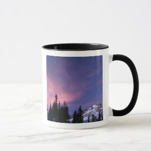 VS, Oregon, Mount Hood vanuit Timberline Mok