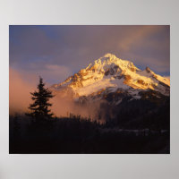 VS, Oregon, Mt. Hood National Forest. Rollend