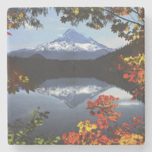VS, Oregon, Mt. Hood National Forest. Stenen Onderzetter
