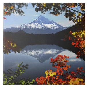 VS, Oregon, Mt. Hood National Forest. Tegeltje