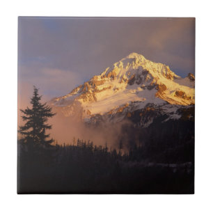 VS, Oregon, Mt. Hood National Forest Tegeltje