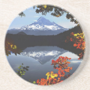 VS, Oregon, Mt. Hood National Forest. Zandsteen Onderzetter