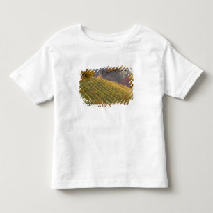 VS, Oregon, Newberg. Wijngaard in de herfst. Kinder Shirts