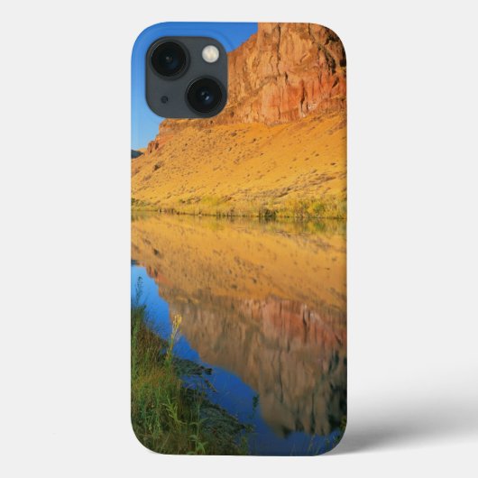 VS, Oregon, Owyhee River Canyon Case-Mate iPhone Case (Achterkant)