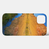 VS, Oregon, Owyhee River Canyon Case-Mate iPhone Case (Achterkant (horizontaal))