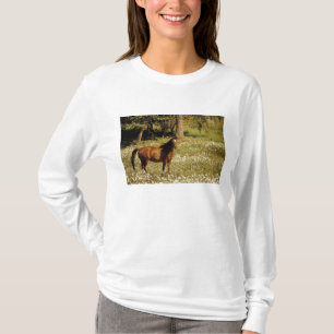 VS, Oregon. Paard in veld met madeliefjes T-shirt