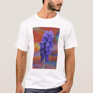 VS, Oregon, Portland. Close-up van blauwe druif T-shirt