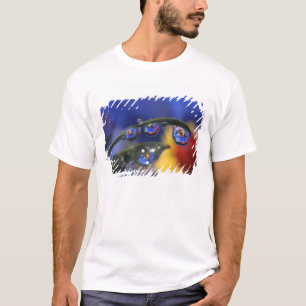 VS, Oregon, Portland, Close-up van lieveheersbeest T-shirt