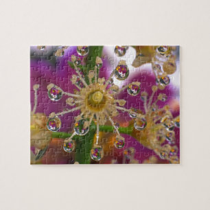 VS, Oregon, Portland. Cosmos bloemen weerspiegelen Legpuzzel