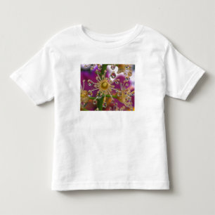 VS, Oregon, Portland. Cosmosbloemen weerspiegelen Kinder Shirts