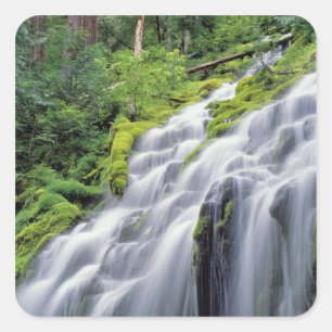 VS, Oregon, Proxy Falls. Proxy Falls stroomt Vierkante Sticker