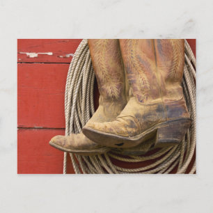 VS, Oregon, Seneca, Ponderosa Ranch. Close-up Briefkaart