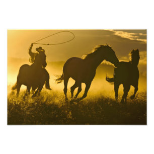 VS, Oregon, Seneca, Ponderosa Ranch. Foto Afdruk