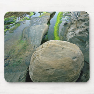 VS, Oregon, Shore Acres State Park Muismat
