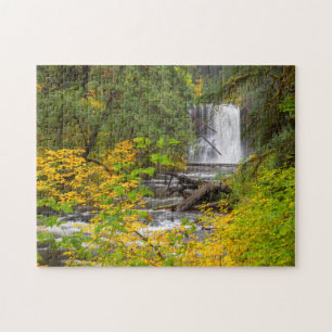 VS, Oregon, Silver Falls State Park 2 Legpuzzel