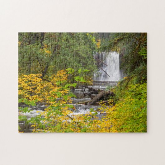 VS, Oregon, Silver Falls State Park 2 Legpuzzel (Horizontaal)