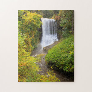 VS, Oregon, Silver Falls State Park 3 Legpuzzel
