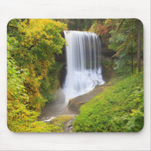 VS, Oregon, Silver Falls State Park 3 Muismat