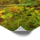 VS, Oregon, Silver Falls State Park 3 Poster (Hoek)