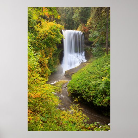 VS, Oregon, Silver Falls State Park 3 Poster (Voorkant)