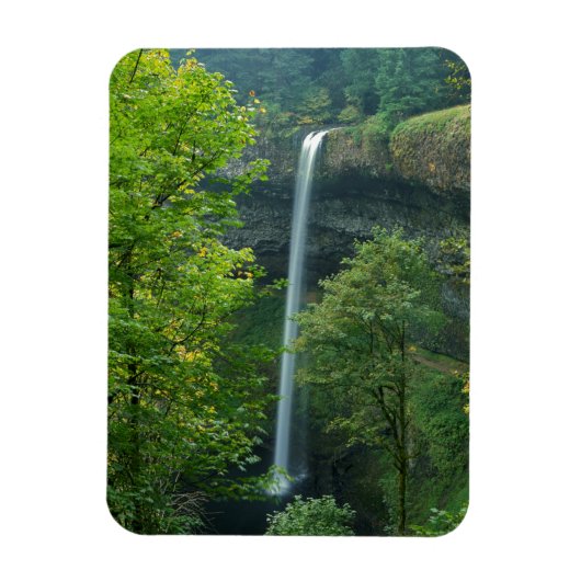 VS, Oregon, Silver Falls State Park Magneet (Verticaal)