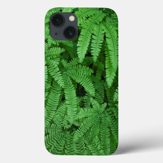 VS, Oregon, Silverton. Adelaarsvarens Case-Mate iPhone Case (Achterkant)