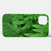 VS, Oregon, Silverton. Adelaarsvarens Case-Mate iPhone Case (Achterkant (horizontaal))