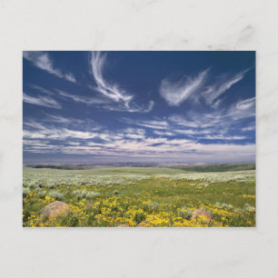 VS, Oregon, Steens Mountain. Lente bloeit Briefkaart