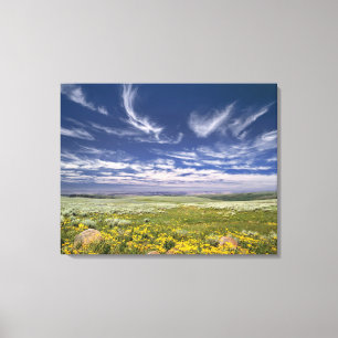 VS, Oregon, Steens Mountain. Lente bloeit Canvas Afdruk